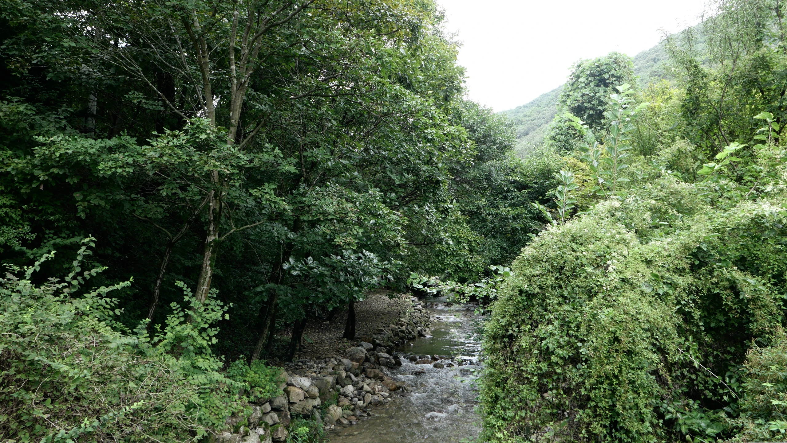 청화산 하늘정원